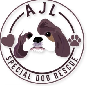 Annie, Jack and Lucy's Special Dog Rescue